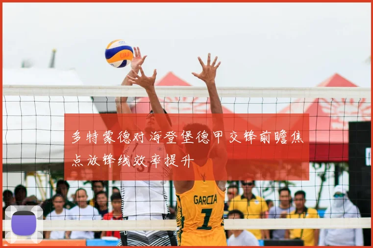 多特蒙德对海登堡德甲交锋前瞻焦点放锋线效率提升